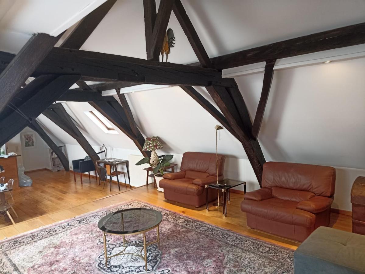 Spacious Duplex In Historical Center Appartement Brussel